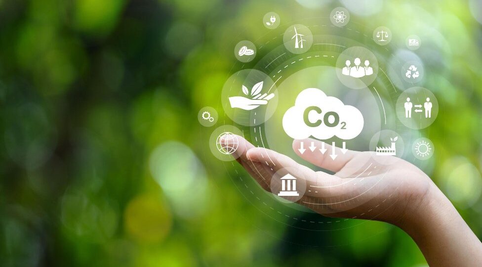 Carbono verde promovendo a neutralidade climática!