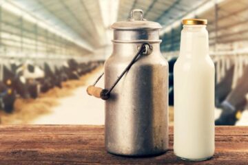 Preço do leite 30% mais barato em 2023; Descubra os motivos