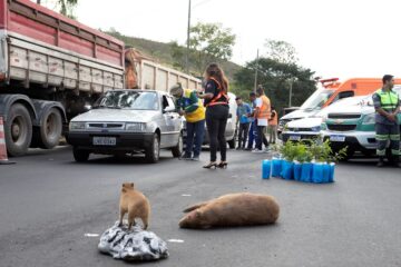 Blitz ambiental conscientiza motoristas sobre a importância da preservação da Mata Atlântica