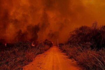 Incêndios recordes vem atingindo o Pantanal