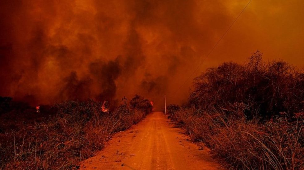 Incêndios recordes vem atingindo o Pantanal