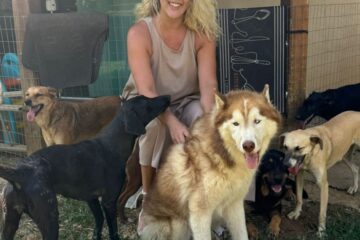 Volta Redonda: Secretaria de Proteção e Defesa Animal abre cadastro para protetores independentes e entidades de proteção animal