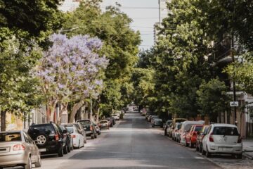 Dia do Meio Ambiente: Planejamento sustentável pode reduzir as altas temperaturas nas cidades