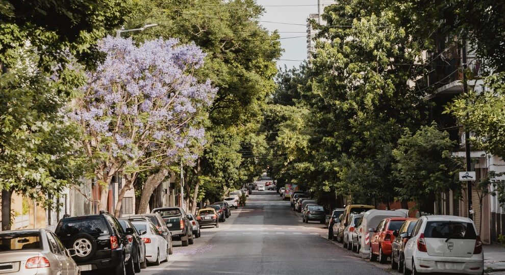 Dia do Meio Ambiente: Planejamento sustentável pode reduzir as altas temperaturas nas cidades
